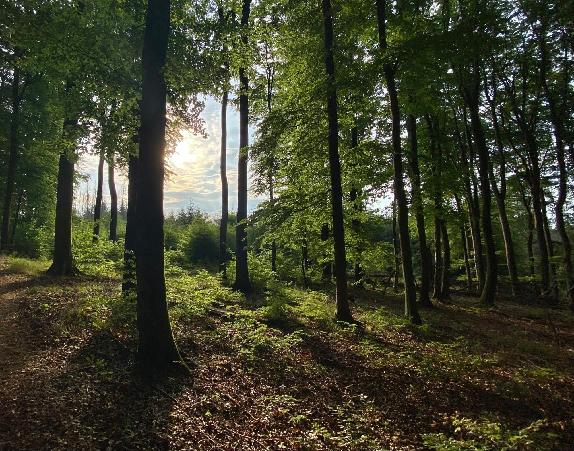Fruehstueckspension Zur Krone Bad Endbach Exterior foto